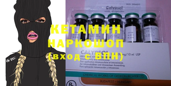 дмт Алзамай