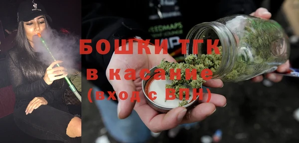 СК Алексин