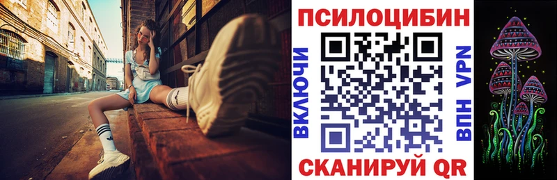 Псилоцибиновые грибы мицелий  закладки  гидра ссылки  Спасск 